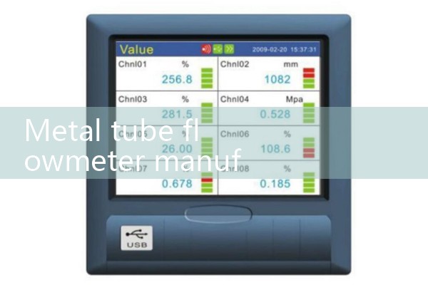Manufacturer of metal tube flowmeter